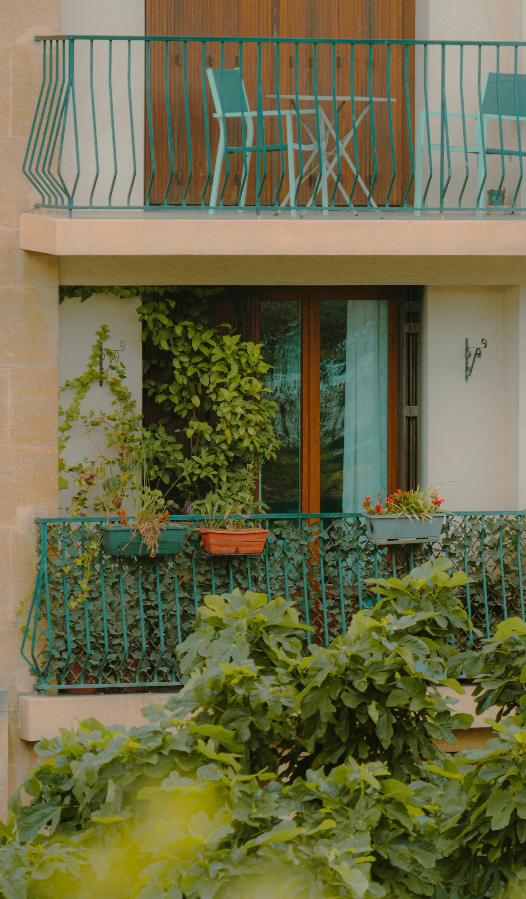 Light-filled balcony full of greenery and potted plants